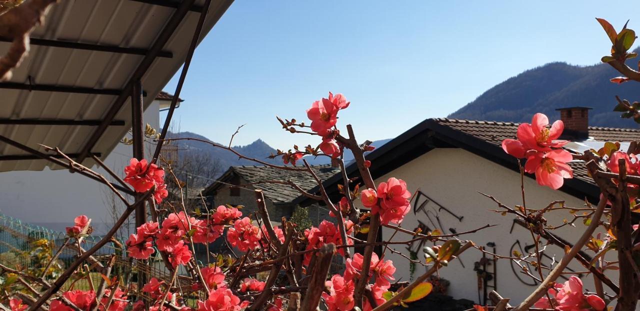 Casa Le Rondini Apartment Mezzenile ภายนอก รูปภาพ