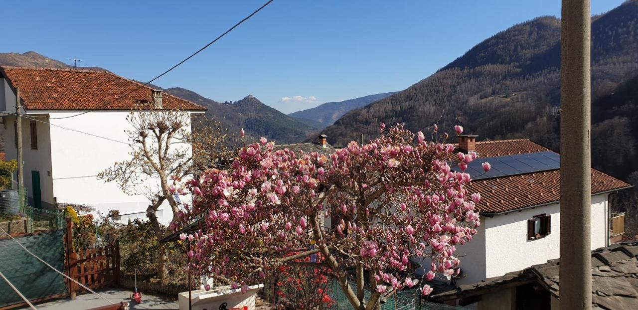Casa Le Rondini Apartment Mezzenile ภายนอก รูปภาพ
